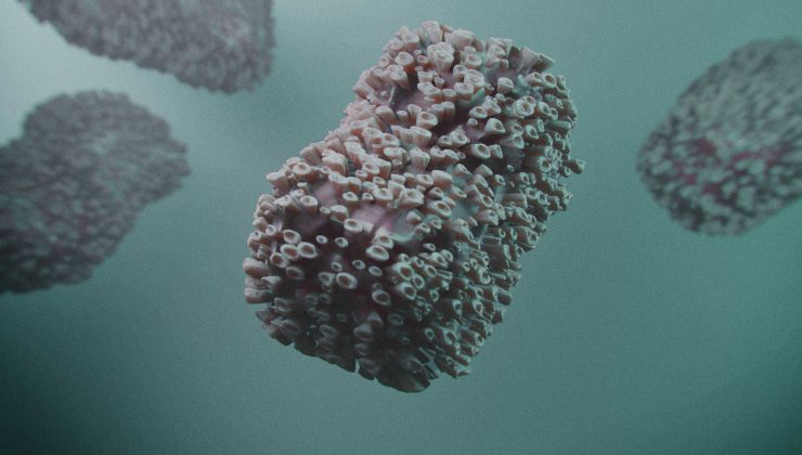 Türk biyoteknoloji şirketi, Maymun Çiçeği test kiti geliştirdi