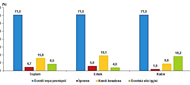 Türkiye’nin nüfus ve aile yapısı istatistikleri açıklandı (3)