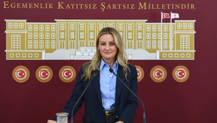 İZMİR MİLLETVEKİLİ ÖSEN: ARKEOLOJİK TÜM KAZILARA AYNI ORANDA DESTEK VERİLMELİDİR