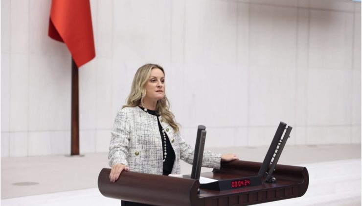 Milletvekili Ösen, enflasyon muhasebesi uygulamasından etkilenecek mükelleflerin endişelerini Meclise taşıdı