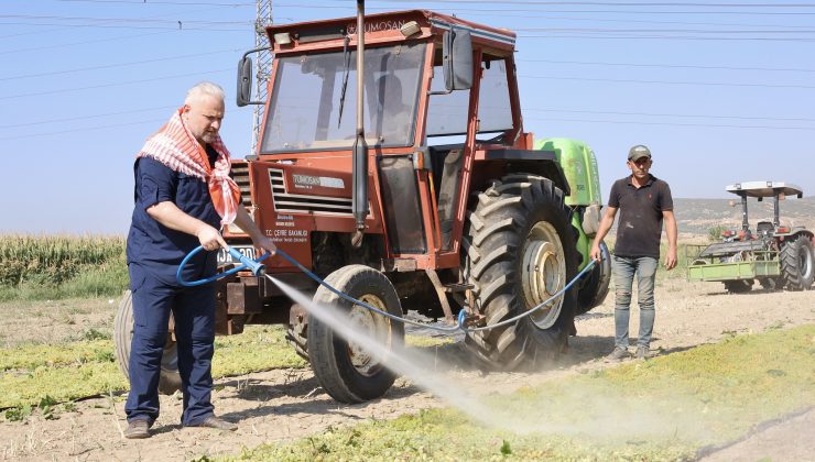 Menemen Belediye Başkanı Aydın Pehlivan, Üzüm Bağlarında Sabah Mesaisine Başladı