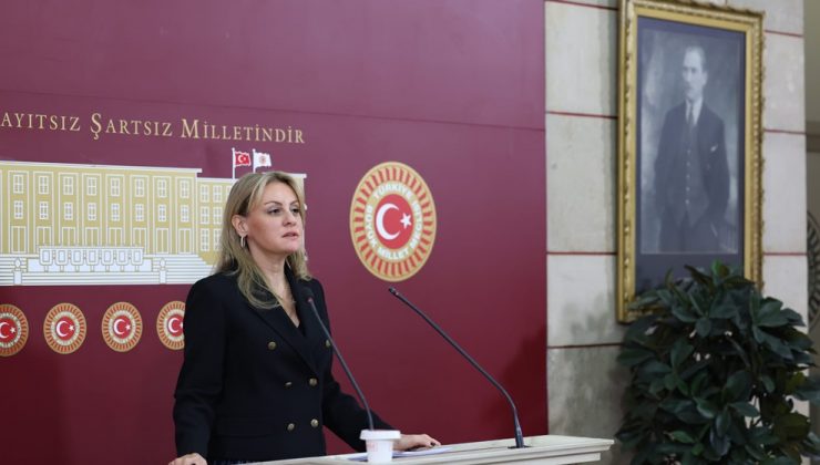 DEVA Partisi Milletvekili Seda Kaya Ösen: 2025 Bütçesinde İnsaf da Yok, Vicdan da!