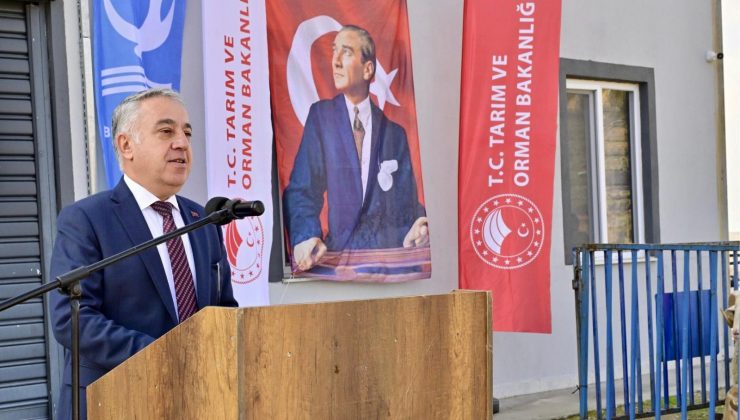 Aliağa’da Damızlık Koç Dağıtım Töreni