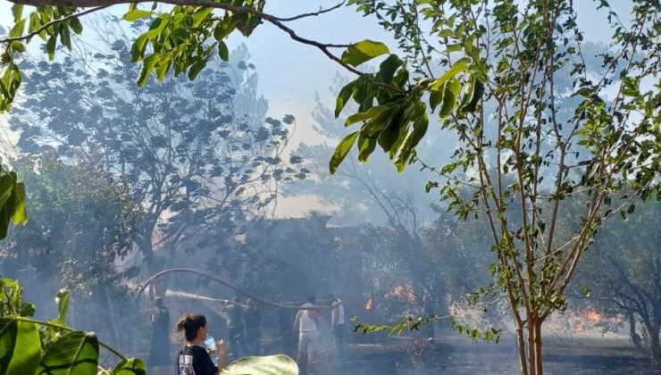 İzmir’de yangın ve fırtına teyakkuzu