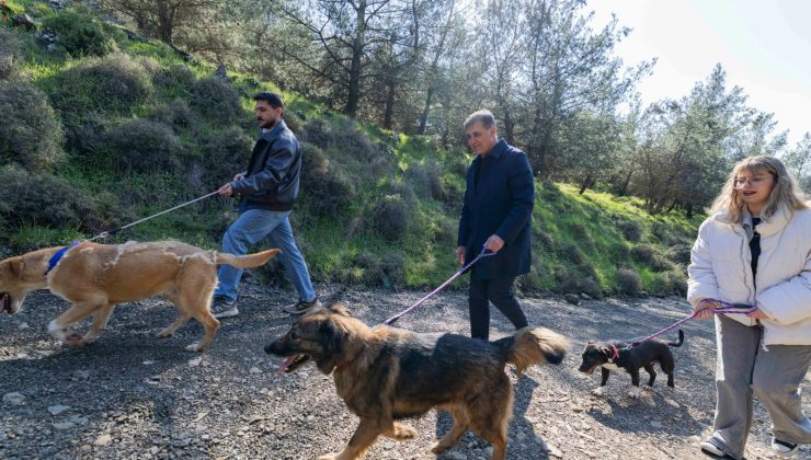 Başkan Dr. Cemil Tugay İzmir’de Merhametin Adresi Sahipsiz Canlar İçin Çağrı Yaptı