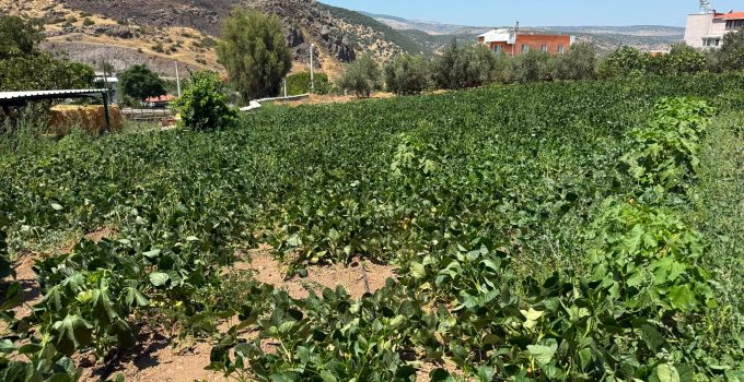 Başkan Aydın Pehlivan’dan Tarıma Dev Yatırım: Ayvacık’ta 100 Yıllık Sorun Çözüldü