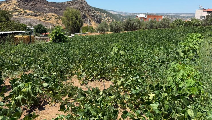Başkan Aydın Pehlivan’dan Tarıma Dev Yatırım: Ayvacık’ta 100 Yıllık Sorun Çözüldü